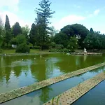Alex Home