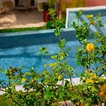Jardim Da Lapa By Shiadu