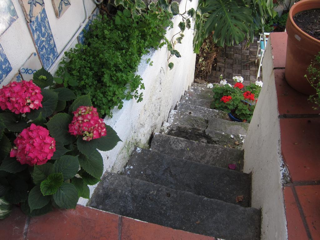 Oliveirinha Lisbon