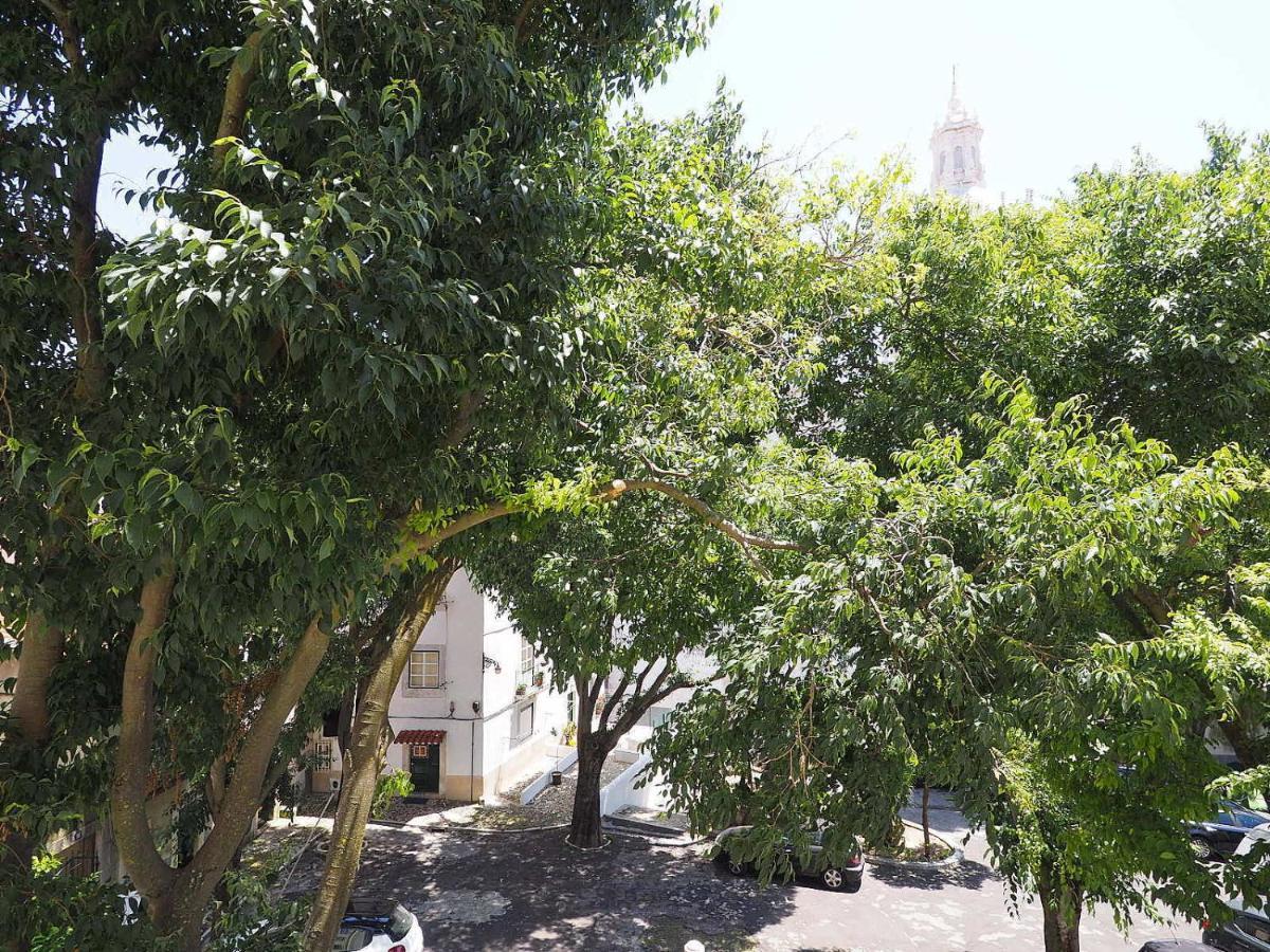 Apartment Mosteiro - Altstadt