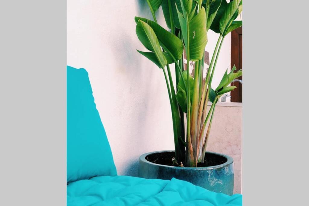 Estrela 21- With Private Pool * Lisboa