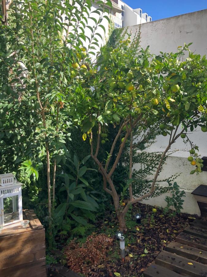 Apartment Garden Lisbon