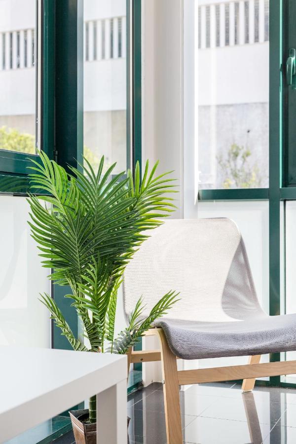 Apartment Stunning And Spacious Lofts Just By Graca And Alfama