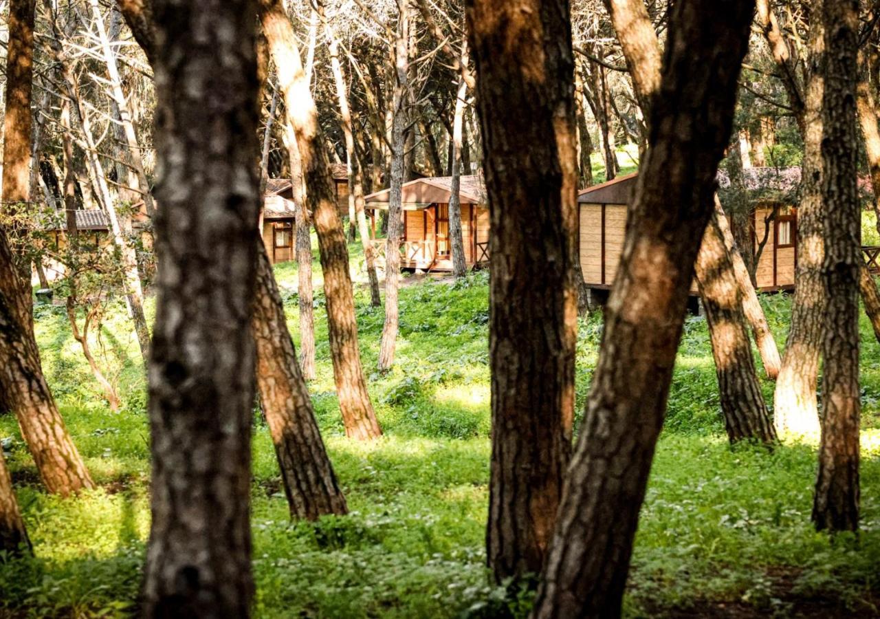 Lisboa Bungalows Parque de Campismo 4*