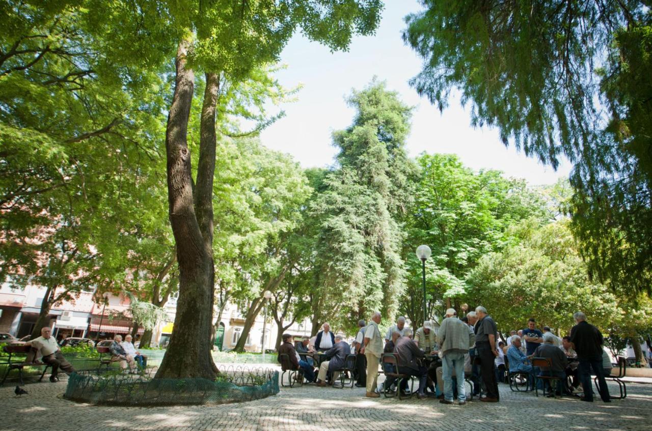 Campo De Ourique Guest house *