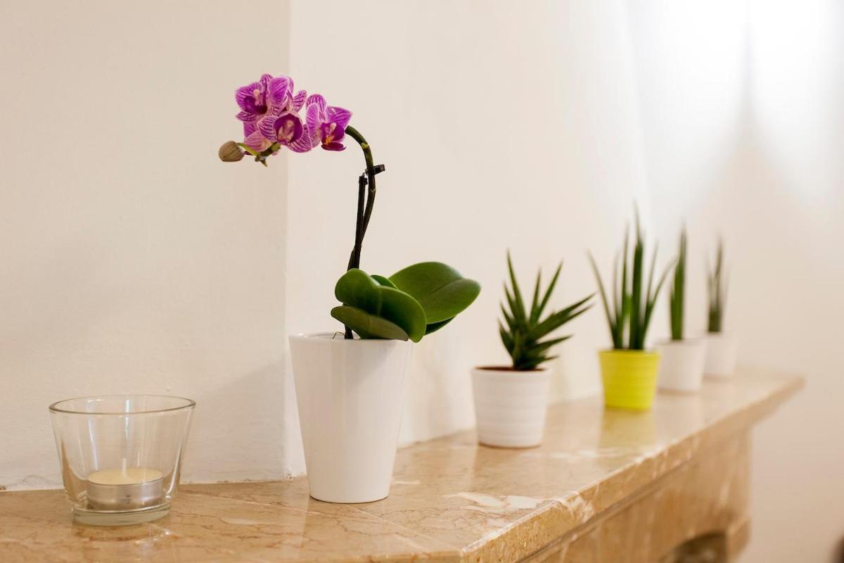 Guest house Ginjinha House - 4 - Bairro Alto - With Ac!