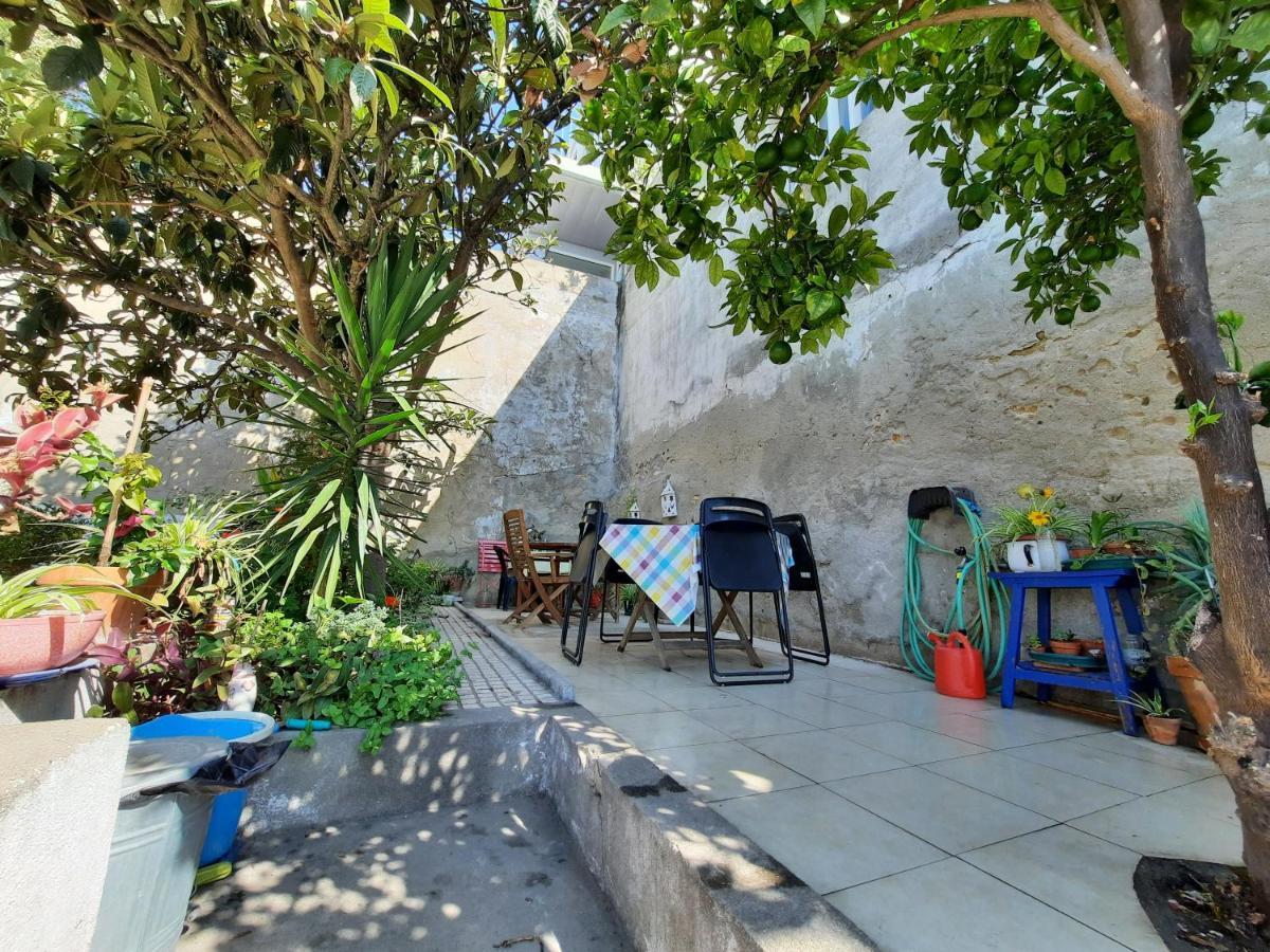 Apartment Tonic Flat