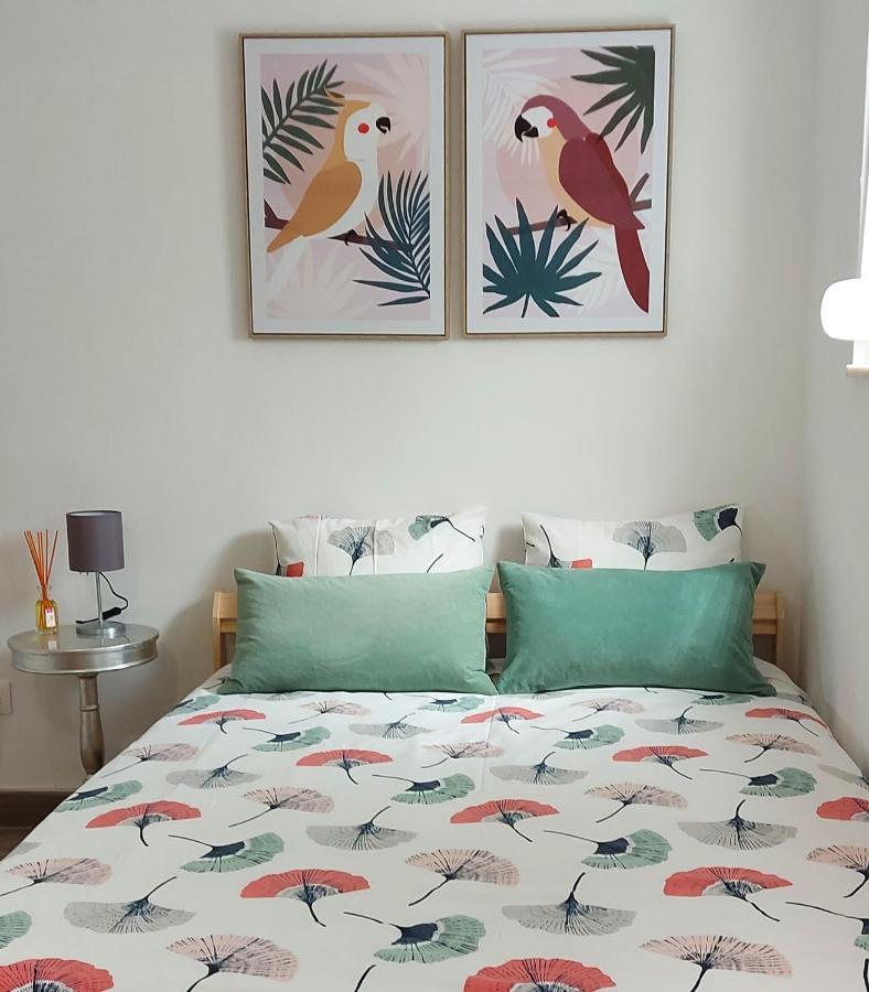 Cozy In Apartamento