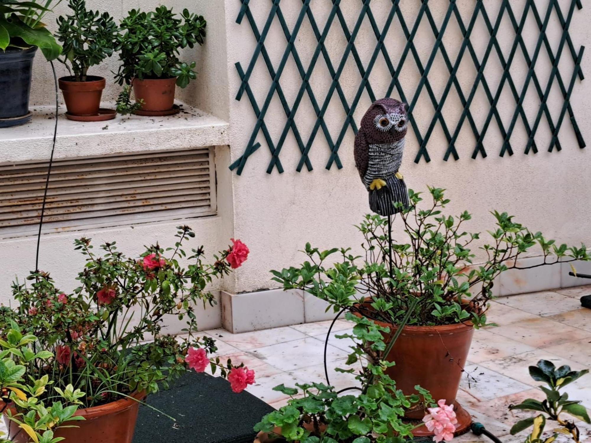 Sunny Terrace * Lisbon