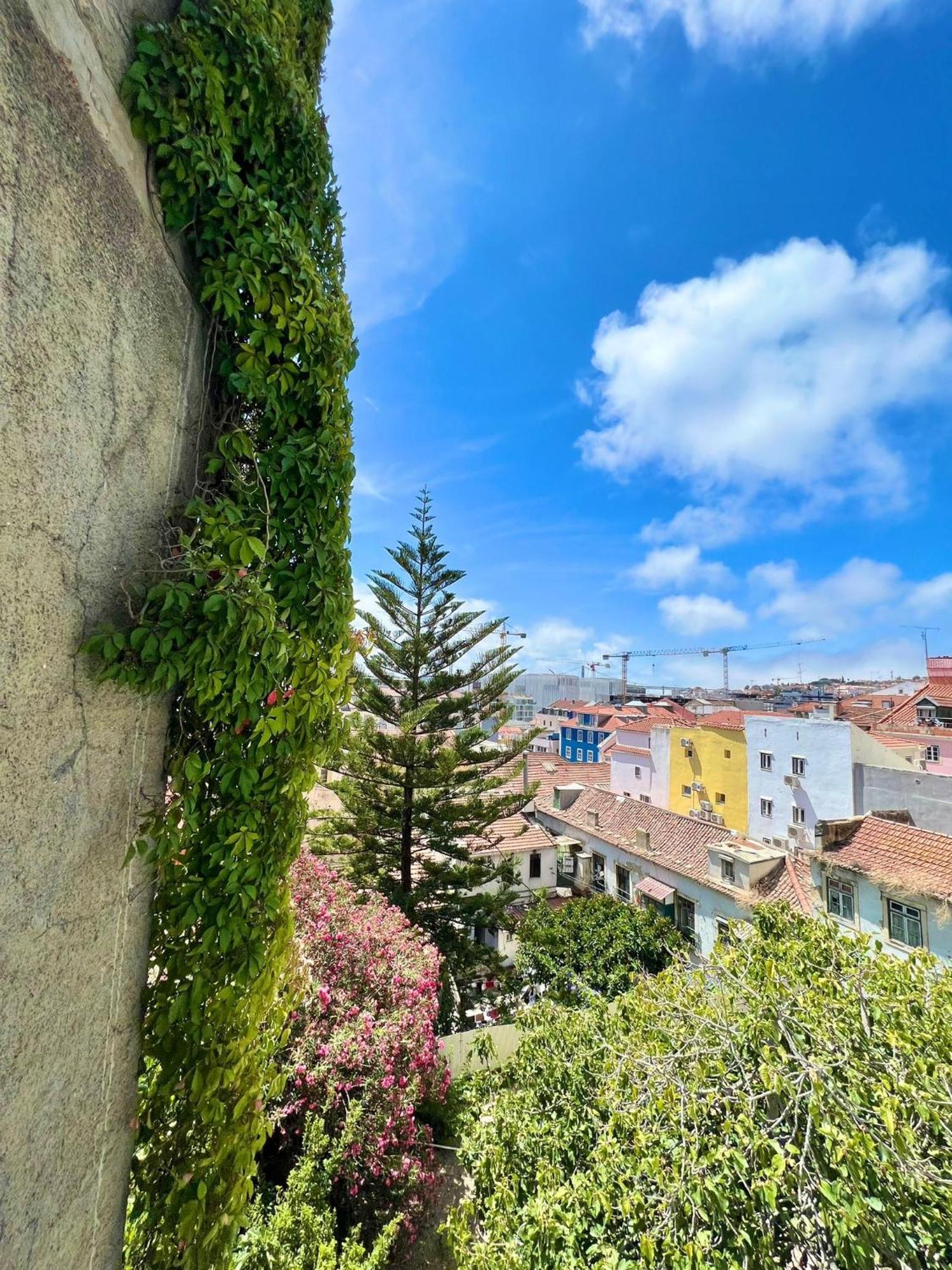 Frank's House & Happy Downtown Lisbon