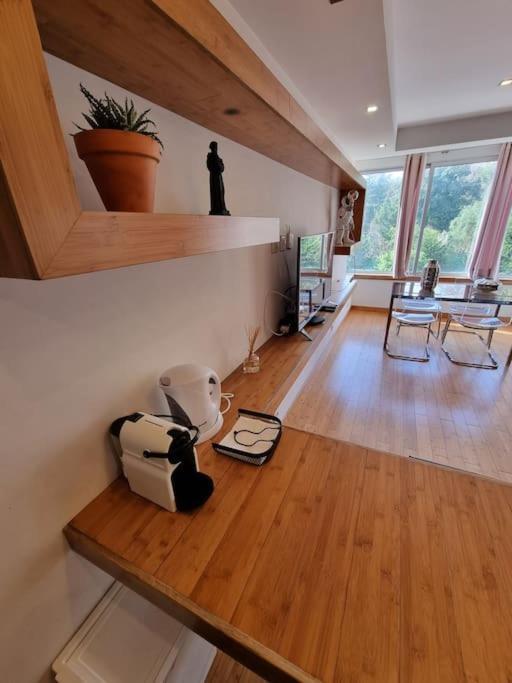 Apartment House Of Zoo Lisbon