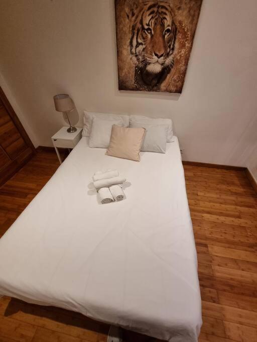 Apartment House Of Zoo *