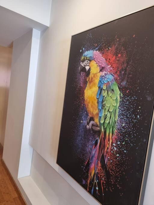 House Of Zoo Apartment *