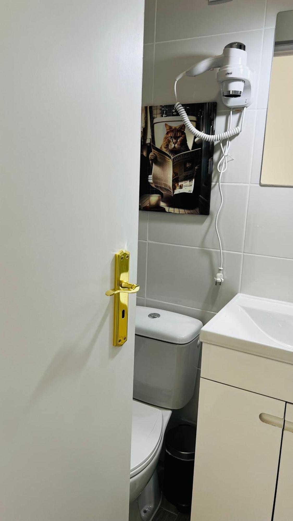 Luciano Cordeiro Homestay Lisbon