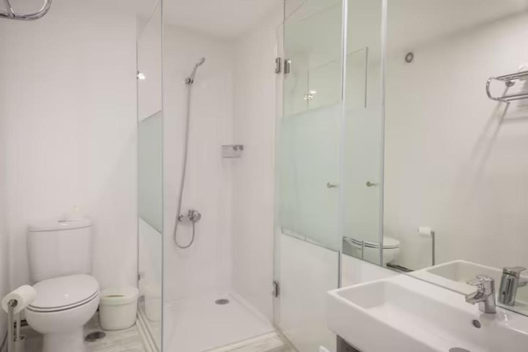 Duplex With Terrace In Principe Real Apartment *