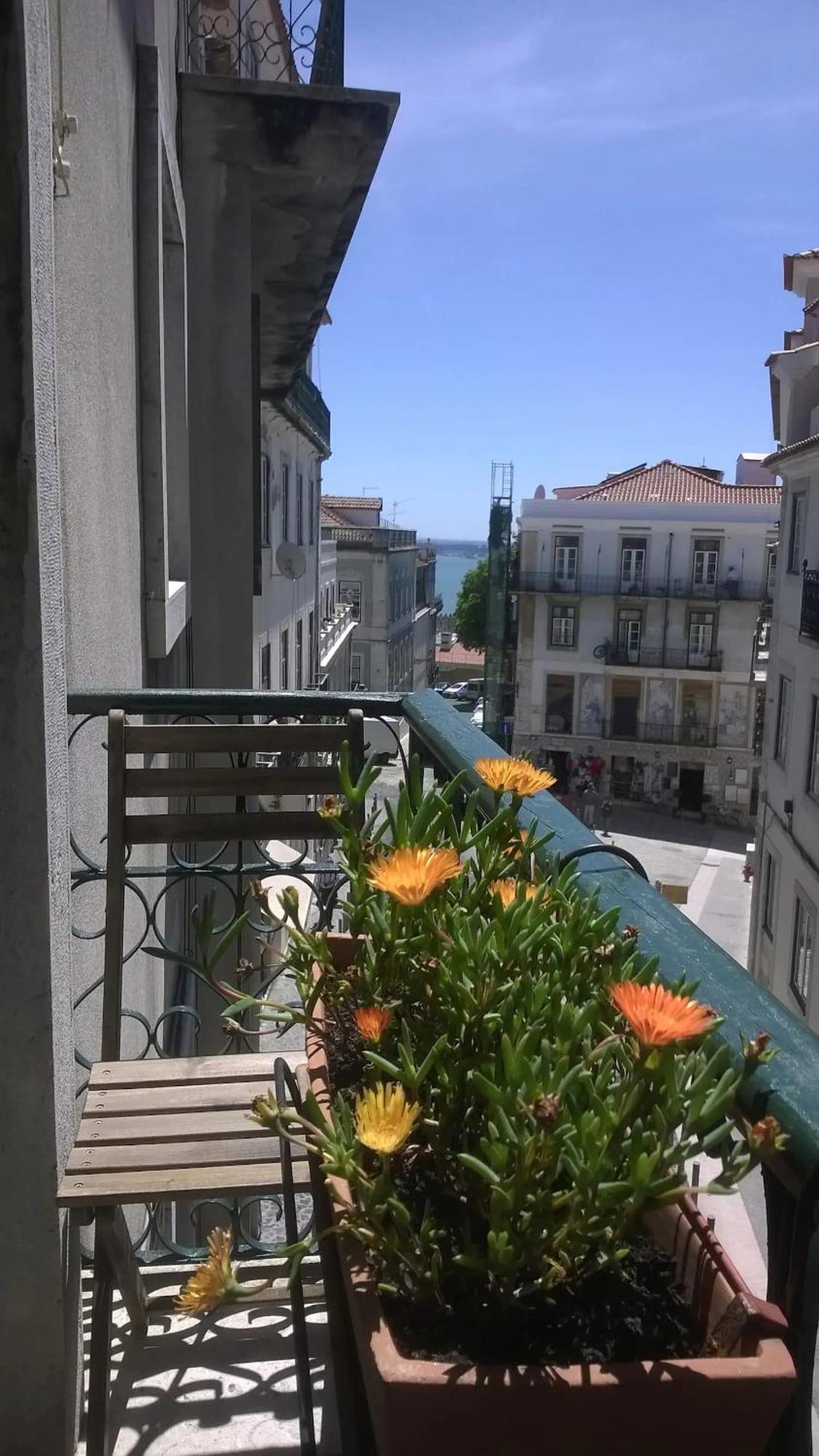 Apartment 1bd Flat Near