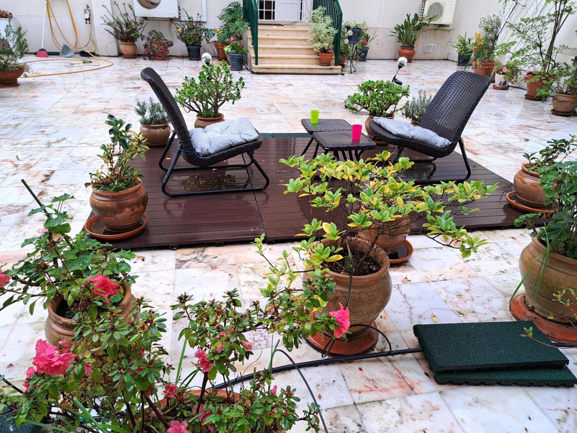 Apartment Sunny Terrace *
