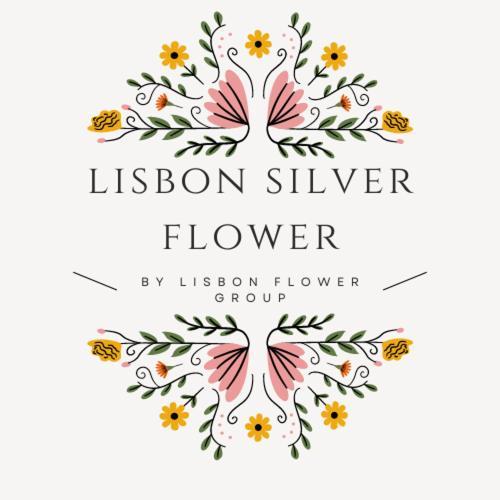 Guest house Silver Flower - Flat In Center 3*