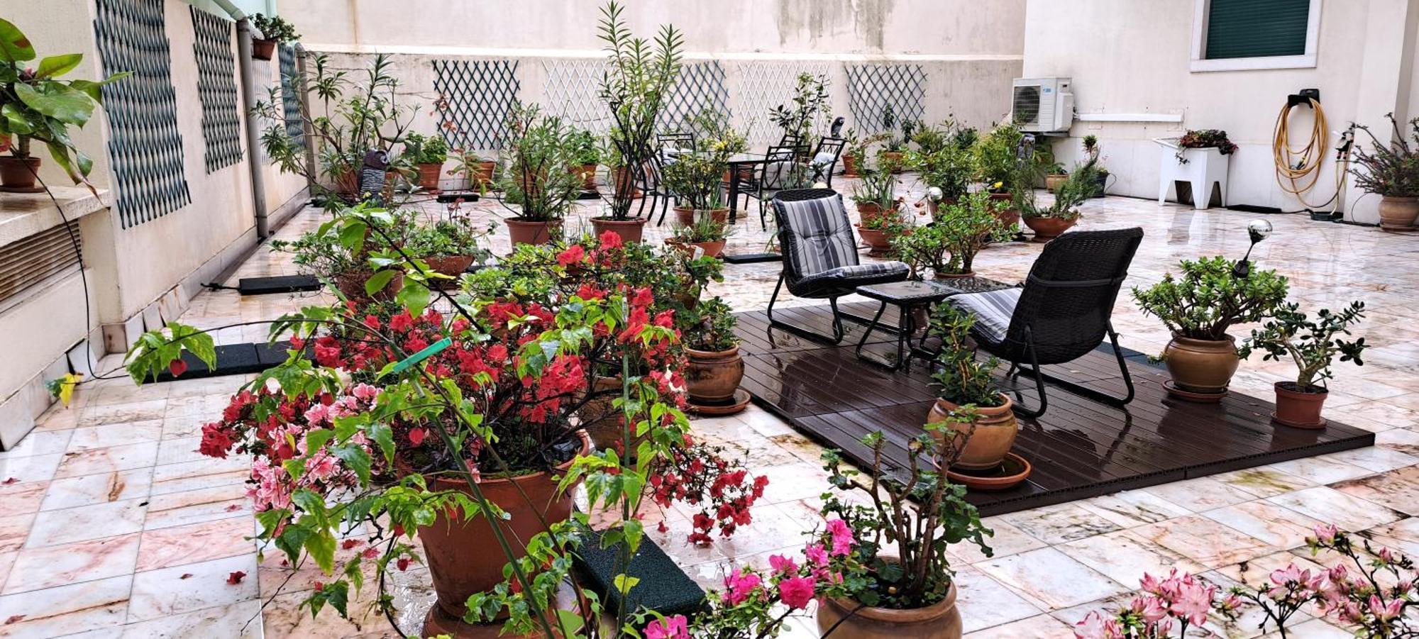 Apartment Sunny Terrace Lisbon