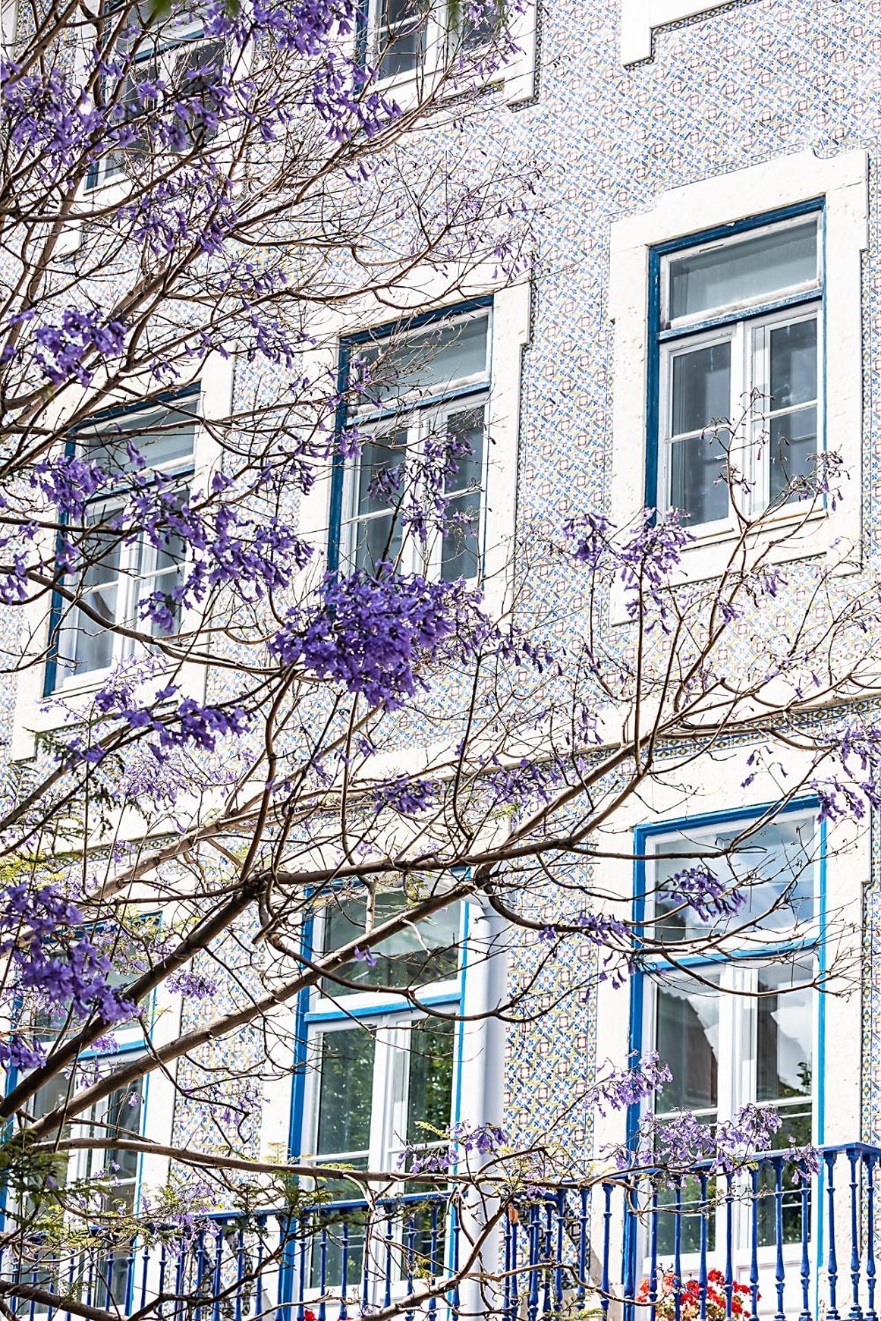Guest house Emporium Lisbon