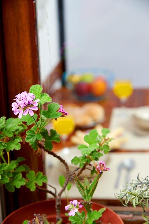 Apartamento Garden Saldanha Lisboa