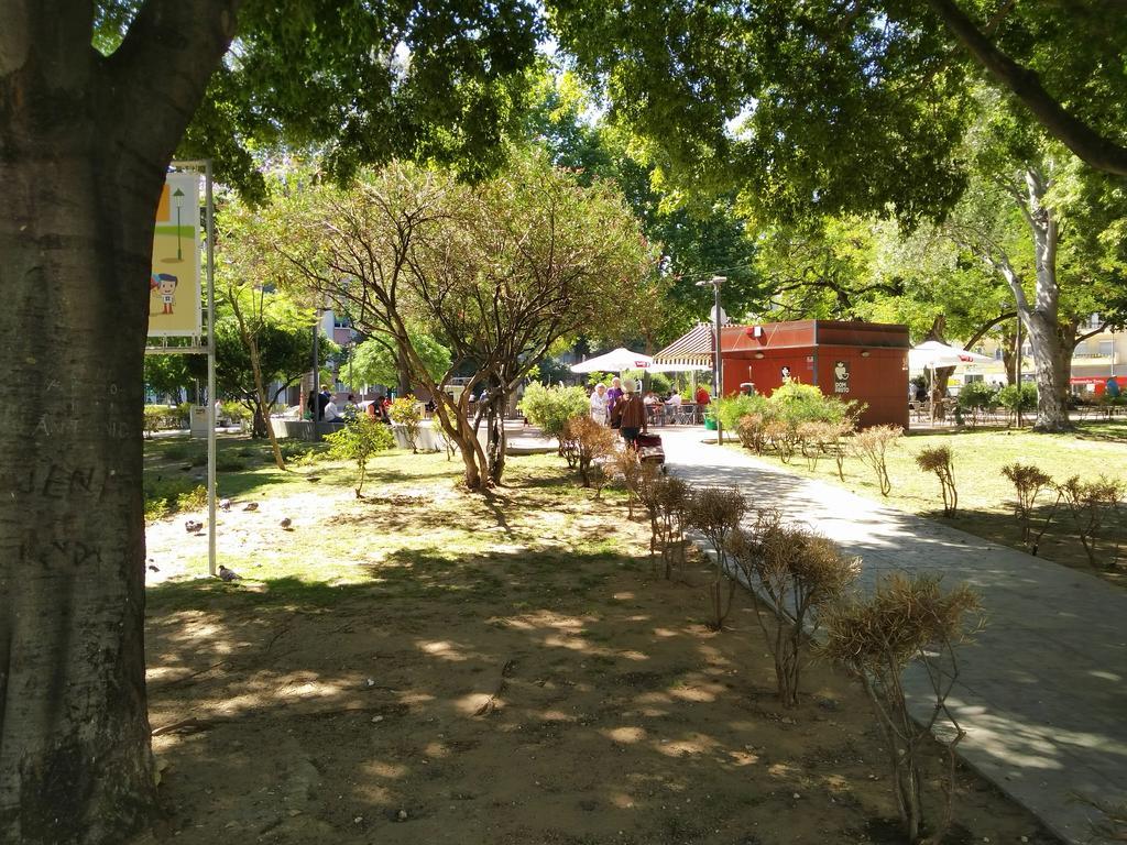 Apartment Ground Floor W/backyard *