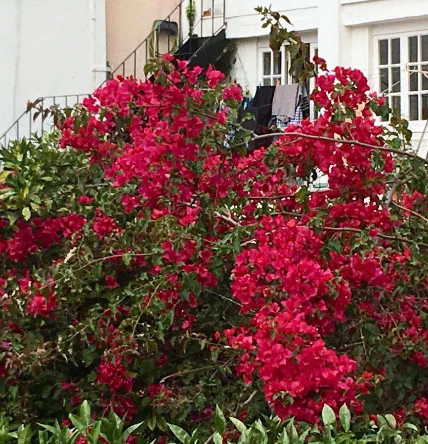 Apartment Flores *