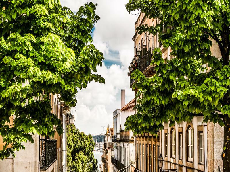 Flores 105 Lisbon