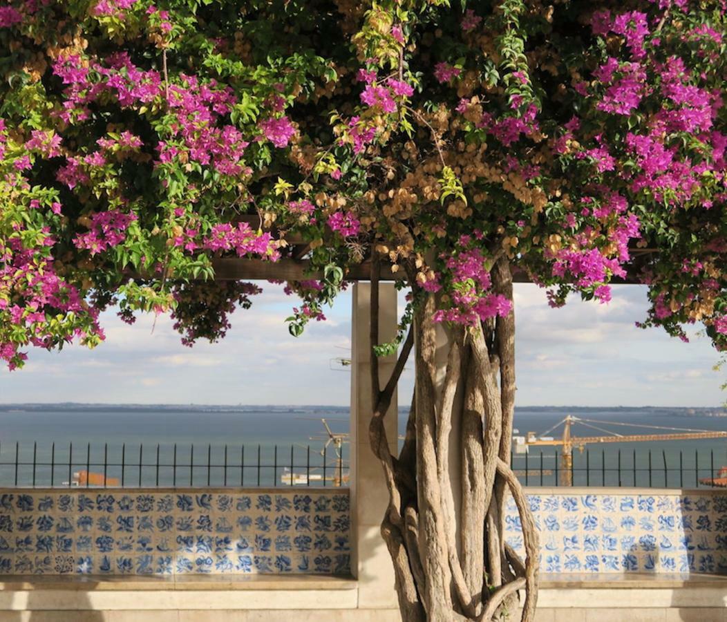 Cativos - Alfama Center District Apartment Lisbon