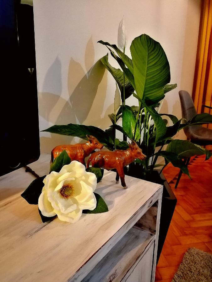 The Sunset Flat Apartment