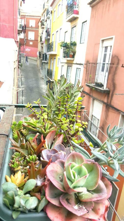 Apartment Misericordia! Bairro Alto Concept *