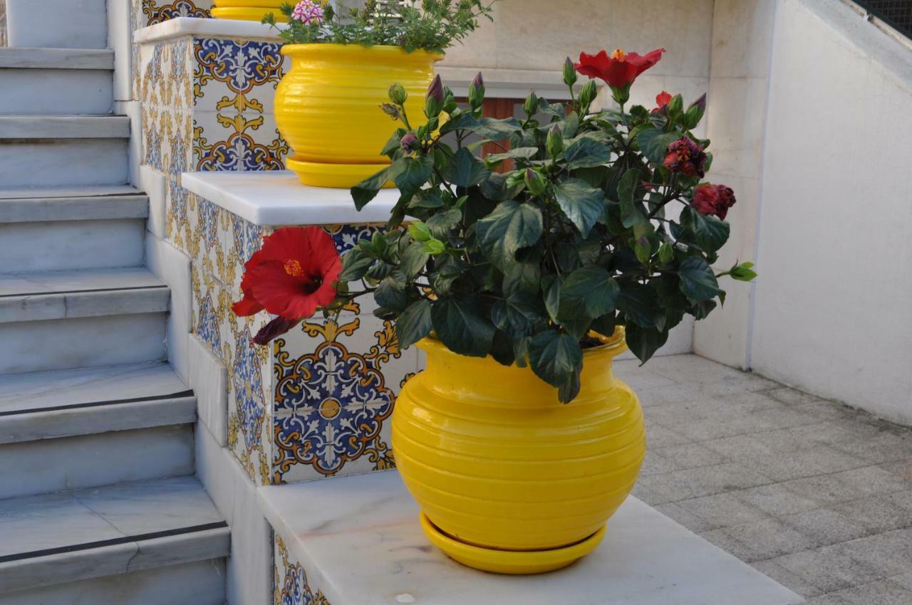 Guest house Casa Amarela Belem