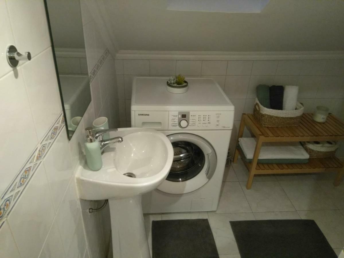 Apartment Cactus House