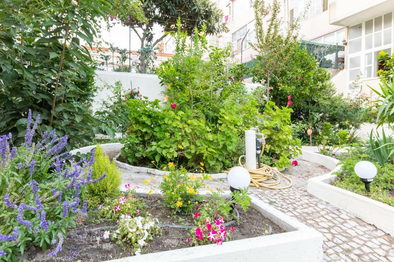 Graca Palace With Private Pool Garden Apartment