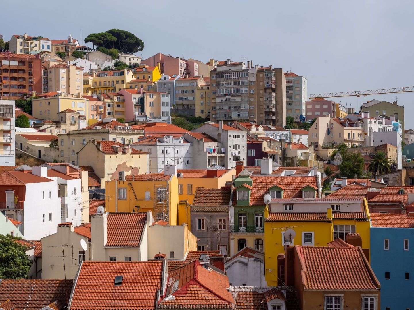 Altido Elegant Deluxe & Altido Luxurious 3-bedroom Apt With Terrace In Intendente Apartment *