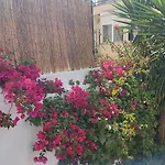 Apartment With Private Garden - Central Location