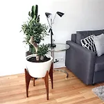 Baixa Charming Apt. | Rosa 59