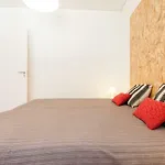Chao Do Loureiro Apartments Baixa-Castle