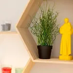 Alfama Charm Apartment