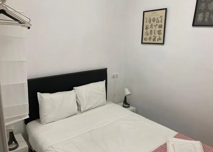 Lisbon\'S Cozy House