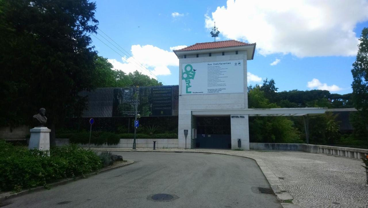 Alex Apartamento