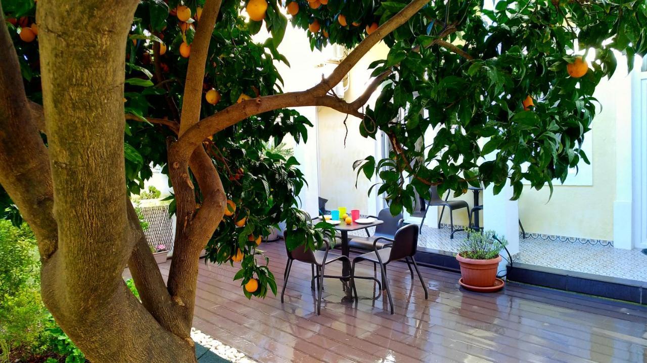 Sunny Orange Garden In * Lisboa