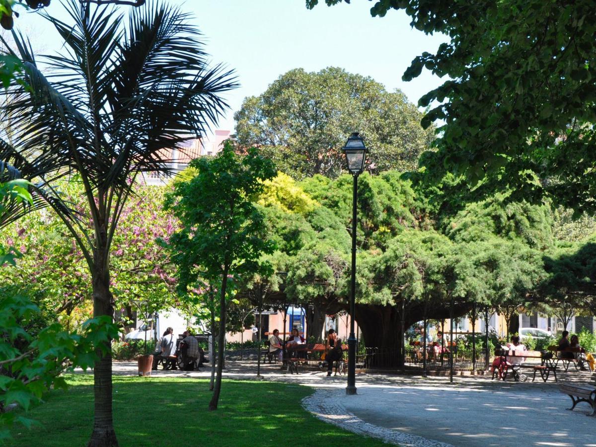 Typical Portuguese In Sao Bento