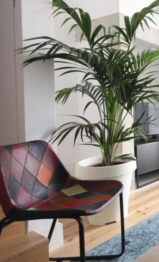 The Lookout Duplex - Bairro Alto Lisbon