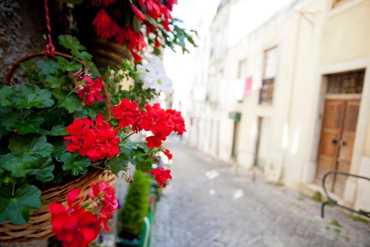With One Bedroom In With Wonderful City View Balcony And Wifi 12 Km From The Beach * Lisbon
