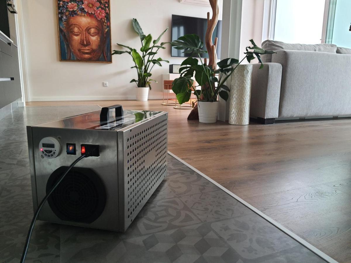 Apartment Exotic Fusion Double With Garden Lisbon