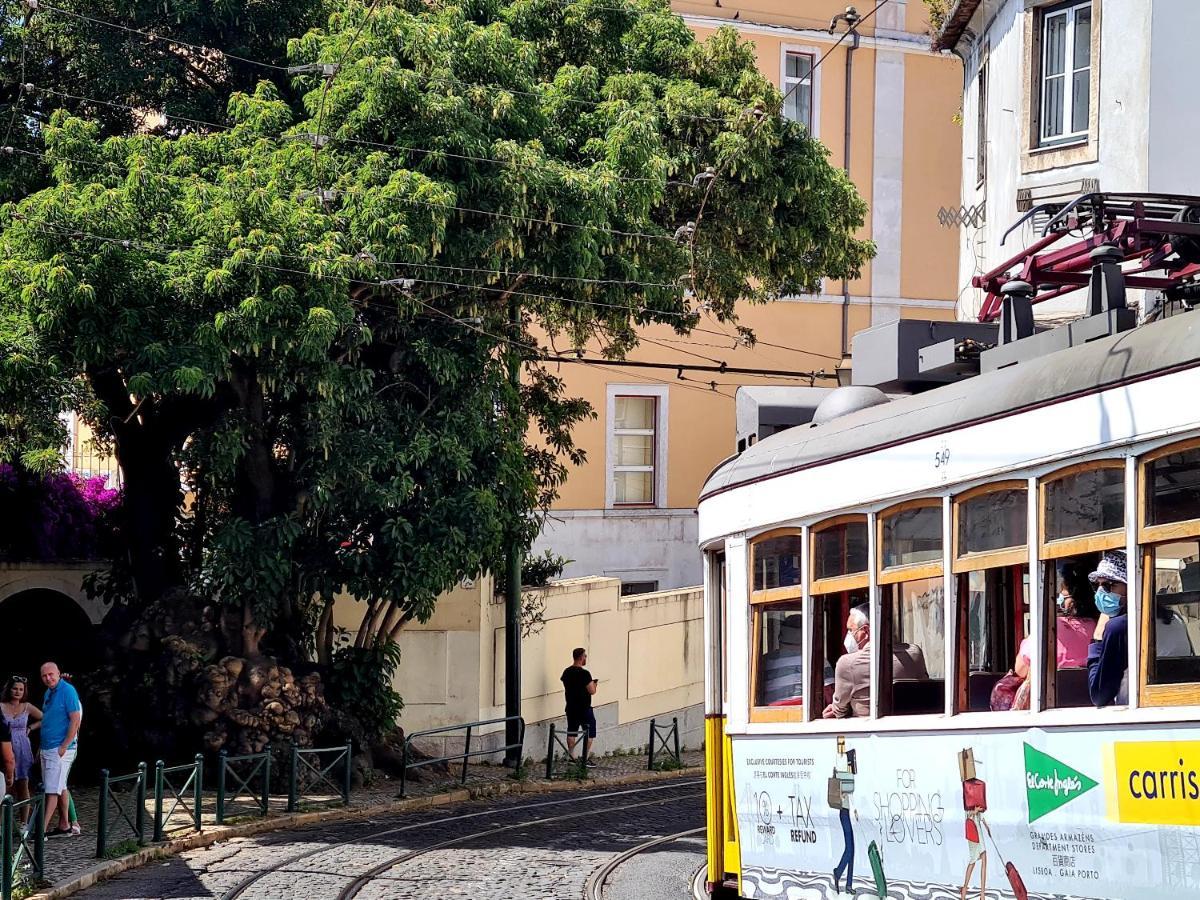 Lel Madalena Guest house Lisbon