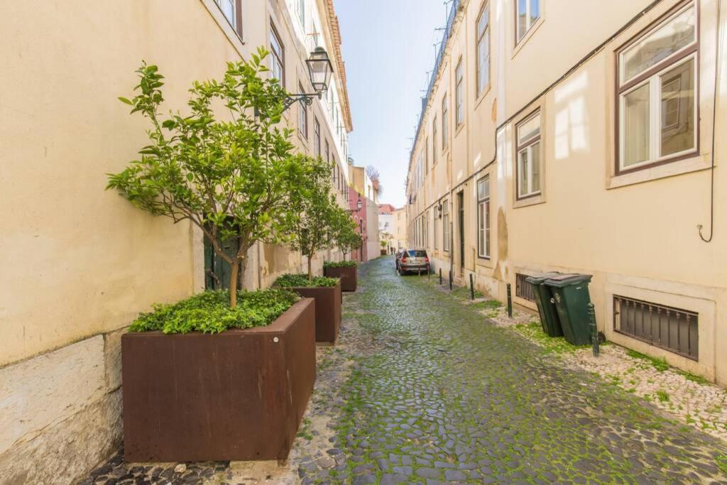 135 A - In Tranquil Flat In Alfama Near Se And Castle * Lisboa