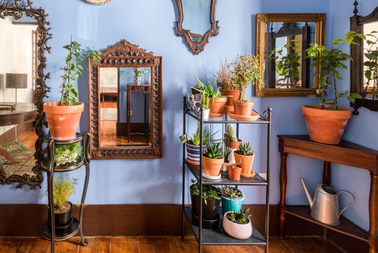 Charming In A 19th Century Building * Lisbon