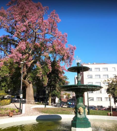 Apartment Alegramente